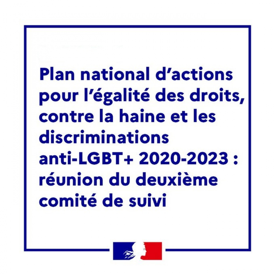 Réunion Du Second Comité De Suivi Du Plan National D’actions Pour L ...